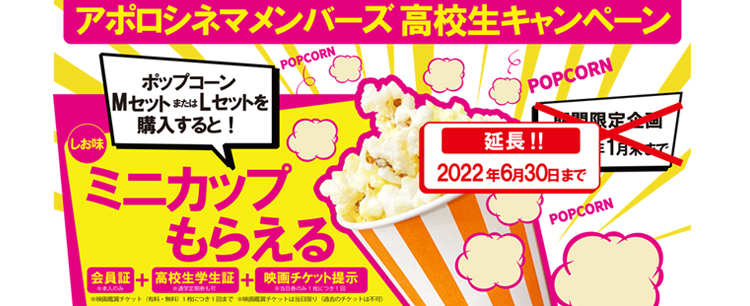 天然素材 アポロシネマ招待券１2 ４月分 お取り寄せ製品 チケット 映画 Roe Solca Ec